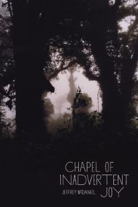 Book Cover for Chapel of Inadvertent Joy by Jeffrey McDaniel