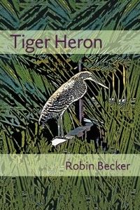 Book Cover for Tiger Heron by Robin Becker