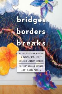 Book Cover for Bridges, Borders, and Breaks by William Orchard, Yolanda Padilla