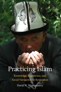 Book Cover for Practicing Islam by David W Montgomery