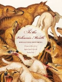 Book Cover for In the Volcano's Mouth by Miriam Bird Greenberg