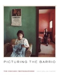 Book Cover for Picturing the Barrio by David William Foster