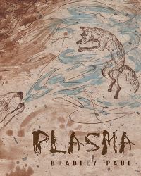Book Cover for Plasma by Bradley Paul