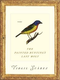 Book Cover for The Painted Bunting's Last Molt by Virgil Suarez