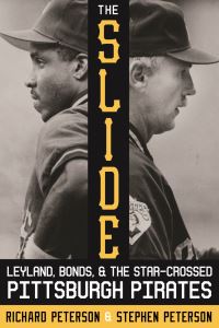 Book Cover for The Slide by Richard Peterson, Stephen Peterson