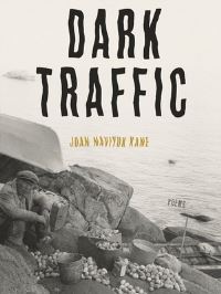Book Cover for Dark Traffic by Joan Naviyuk Kane