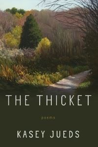 Book Cover for The Thicket by Kasey Jueds