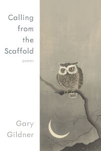 Book Cover for Calling from the Scaffold by Gary Gildner