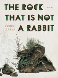 Book Cover for The Rock That Is Not a Rabbit by Corey Marks