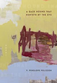 Book Cover for A Gaze Hound That Hunteth by the Eye by V Penelope Pelizzon