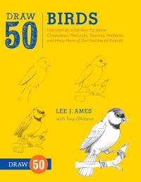 Book Cover for Draw 50 Birds by Lee J Ames, Anthony DAdamo
