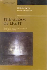 Book Cover for The Gleam of Light by Naoko Saito