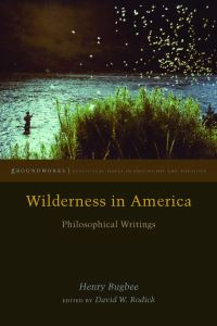 Book Cover for Wilderness in America by Henry Greenwood Bugbee