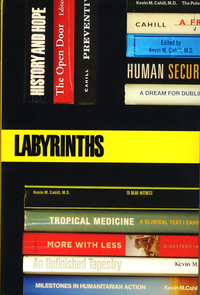 Book Cover for Labyrinths by Kevin M Cahill