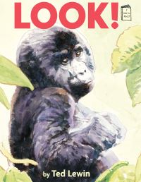 Book Cover for Look! by Ted Lewin