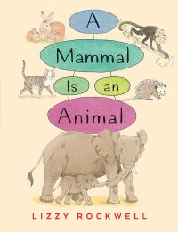 Book Cover for A Mammal Is an Animal by Lizzy Rockwell