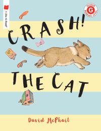 Book Cover for Crash! The Cat by David McPhail