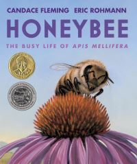 Book Cover for Honeybee by Candace Fleming