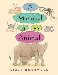 Book Cover for A Mammal Is an Animal by Lizzy Rockwell