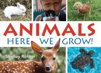 Book Cover for Animals Here We Grow! by Shelley Rotner