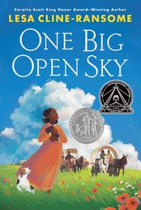 Book Cover for One Big Open Sky by Lesa ClineRansome