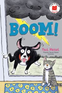 Book Cover for Boom! by Paul Meisel
