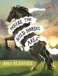 Book Cover for Where the Wild Horses Are by Amy Alznauer