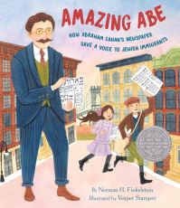 Book Cover for Amazing Abe by Norman H Finkelstein