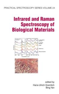 Book Cover for Infrared and Raman Spectroscopy of Biological Materials by HansUlrich Gremlich, Bing Yan