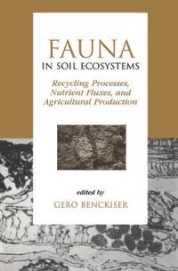 Book Cover for Fauna in Soil Ecosystems by Gero Benckiser