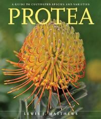 Book Cover for Protea by Lewis J Matthews