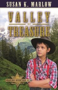 Book Cover for Valley of Treasure by Susan K Marlow
