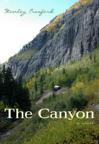 Book Cover for The Canyon by Stanley G Crawford