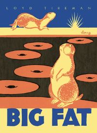 Book Cover for Big Fat by L S Tireman, Evelyn Yrisarri