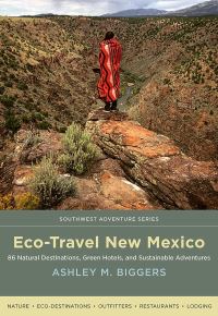 Book Cover for Eco-Travel New Mexico by Ashley M Biggers