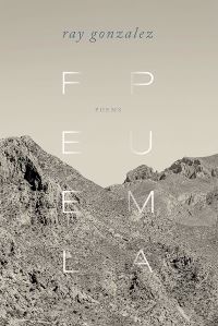 Book Cover for Feel Puma by Ray González