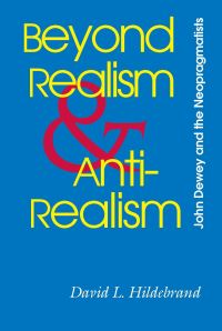 Book Cover for Beyond Realism and Antirealism by David L Hildebrand