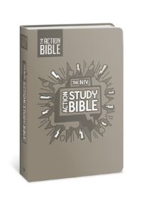 Book Cover for NIV Action Study Bible, Leathersoft, Gray, Full Color by Sergio Cariello