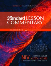 Book Cover for 25/26 SLC NIV DELUXE by Standard Publishing