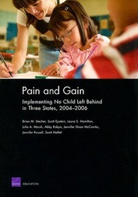 Book Cover for Pain and Gain by Brian M Stecher