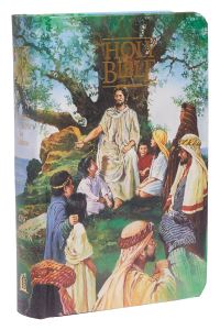 Book Cover for KJV Classic Children's Bible, Seaside Edition, Full-Color Illustrations (Hardcover) by Thomas Nelson