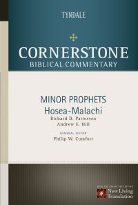 Book Cover for Minor Prophets by Andrew Hill, Richard Patterson