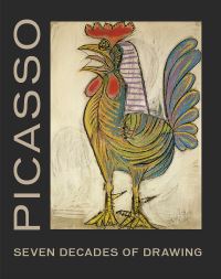 Book Cover for Picasso by Pablo Picasso