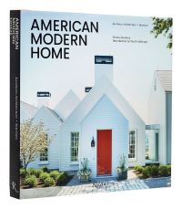 Book Cover for American Modern Vernacular by Simon Jacobsen