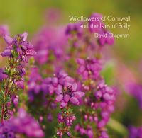 Book Cover for Wildflowers of Cornwall and the Isles of Scilly by David Chapman