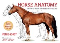 Book Cover for Horse Anatomy by Peter Charles Goody