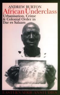 Book Cover for African Underclass by Andrew Burton