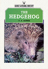 Book Cover for The Hedgehog by Pat Morris