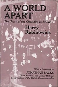 Book Cover for A World Apart by Tzvi Rabinowicz
