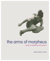 Book Cover for The Arms of Morpheus- by Stephen McNeilly